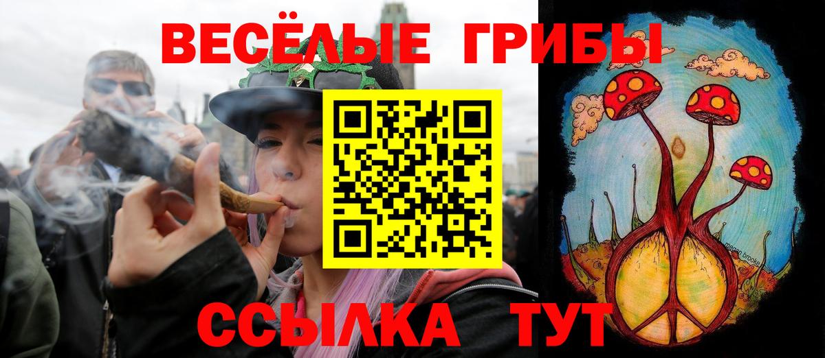 Химки  Галлюциногенные грибы Cubensis  Галлюциногенные грибы Magic Shrooms  Вход с VPN 